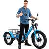 Generic Triciclo Eléctrico para Personas Mayores de 3 Ruedas, 24 Pulgadas, Carga 200 Kg, Altura Ajustable, Cesta Trasera, para Ejercicio y Compras, Blue Sin Asiento