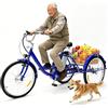 Generic Triciclo elettrico per adulti, bici a 3 ruote da 24 pollici con ampio cestino per shopping, picnic e sport all'aria aperta, portata massima 150 kg.