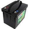 FREEDOH Batteria LiFePO4 24V 60Ah, Batteria di Ricambio al Litio Ferro fosfato | Batteria di accumulo di energia da 24 V 60 Ah, involucro in ABS, con maniglia.