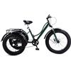 Generic Triciclo elettrico per adulti, 3 ruote con pneumatici larghi da 24'', pedalata assistita, capacità di carico 200 kg, sedile morbido in PP, scooter per anziani per esercizio fisico e shopping.