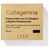 LABO INTERNATIONAL SRL Labo Collagenina crema collo - Azione rimpolpante e rassodante - grado 2 - Vaso 50 ml