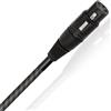 WIREWORLD MICRO SILVER ECLIPSE 10 BALANCED DIGITAL AUDIO CABLE 50cm NUOVO