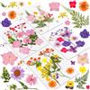 AMFUN 46 Pz Naturali Pressati Fiori Pressati Secchi, Fiori Secchi Naturali, Fiori Pressati Secchi, Set di Fiori Secchi Naturali Fai da Te per Resina, Fiori Secchi Veri Pressati Fiori per Scrapbooking