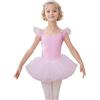 HIPPOSEUS Ragazza Vestito da Balletto Tutu Body Danza Bambina Classica Balletto Abito Manica Corta,Y-04WDM-Rosa Balletto, 8 anni
