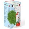 Générique Matcha Premium Japanese Detox Antioxidant Burner, 10 g x 20 pezzi