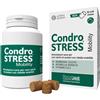 INNOVET ITALIA Condrogen CondroSTRESS Mobility 90 Chews - Benessere Articolare