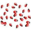 VOANZO Set di 100 decorazioni in resina Coccinella Septempunctata per fai da te, decorazione da giardino (rosso)