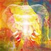 Join the Din Elephants In Autumn Rage (CD)