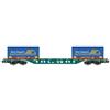 Rivarossi FS CEMAT CONTAINER WAGON "DANI TRASPORTI" EP.V-VI 1:87 Rivarossi Treni -I- Model