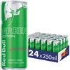 Red Bull Energy Drink Dragon Fruit 24 Pc Bevanda