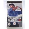 Electronic Arts Tiger Woods PGA Tour 07 PSP