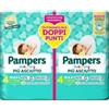 Fater Pampers Bd Duo Downcount Ma34p