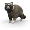 schleich WILD LIFE | Procione 14937 | 7 x 2 x 4 cm
