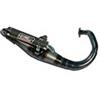 GIANNELLI MARMITTA SCOOTER REVERSE PEUGEOT ELYSEO 99/11-TREKKER 99/11 - OMOLOG. EU-TRASP. TRASP. SIL. KEVLAR(EST:ROAD-VIVAC.99/11)