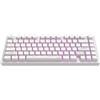 DARK PROJECT Aluminum Terra Nostra (White) Tastiera meccanica da gioco 75% (US English) [ANSI]