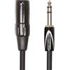 Roland Cavo di Interconnessione Bilanciato Black Series—Da Trs Maschio da 1/4" a Xlr Maschio, 3M / 10Ft - Rcc-10-Trxm