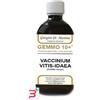 DR.GIORGINI SER-VIS SRL GEMMO 10+ MIRTILLO ROSSO LIQUIDO ANALCOLICO 500 ML