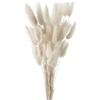 FENGCHUANG 60 Pezzi Decorazione in Erba di Pampas Essiccata Pianta Boho Fiori Secchi Naturali Pampas Decorative per Matrimonio Fiori Boho Decorazione Della Tavola Domestica (Bianco)
