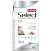Sconosciuto SELECT CAT KITTEN 400 g