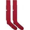 Canterbury Calzini da allenamento da uomo British and Irish Lions, Red Dahlia, M