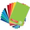 Blasetti One Color - Quaderno A5 - Tinta Unita 0Q Quadretti 5mm con Margine - 10pz