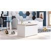 Dmora Baule Bialystok, Contenitore multiuso, Cassapanca multiuso, Box portaoggetti, 40x42 h73 cm, Bianco e Rovere