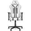 Ranqer Felix Sedia Da Gaming Ergonomica Stile Racing Con Schienale Alto Per Persone Alte, Materiali Resistenti, Base In Nylon, Supporti Lombare E Cervicale Regolabili, Cuscini Inclusi, Bianco/Grigio