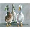 Louise Brown I Tre Amigos, stampa su tela, cotone, multicolore, 3,20 x 40,00 x 50,00 cm