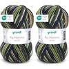 120 Gründl Lana per lavorare a maglia Big Mamma Print Filato all uncinetto realizzato al 100% in poliacrilico, 400 g /1040 m, Testa di moro-verde abete (Confezione da 2)