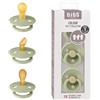 BIBS Try-it Ciuccio, 0-6 mesi, confezione da 3, Sage | Lattice di gomma naturale | Taglia 1 | Senza BPA | Prodotto in Danimarca | Scudo anti-irritazione