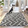 Biscpro Zerbino Ingresso Interno,Zerbino Tappeto Ingresso Casa (Grigio, 80 * 100 CM) (YYFS-Doormat)