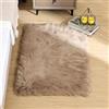 ORINOVA Tappeto Peloso Beige 60x90 cm Rug Morbido Camera da Letto Tappeti Scendiletto Lavabile in Lavatrice Moderno Salotto