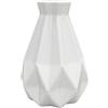 DHSBGWSX Vaso Bianco Irregolare Geometrico in Plastica - Decorazione da Scrivania, Contenitore Creativo per la Casa