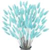 FANNAS 60 Pezzi Erba Della Pampas Fiori Secchi Coda di Coniglio Bouquet,Fiori Secchi Naturali Boho Decor Bouque Pampa di Coniglietto Essiccato per Matrimoni Home per La Casa (Blu Tiffany)
