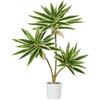 Fairblo Piante Finte da Interno con Vaso 60 cm Agave Piante Grasse Finte Medie