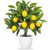 Hollyone Pianta artificiale albero di limone deco, 40cm pianta di plastica in vaso bianco, piante artificiali come vere, piante da interno artificiali con ramo di limone e frutto di limone per arredamento casa