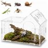 Dexpally Scatola di Alimentazione per Insetti 360° Terrarium Acrilico Rettile Caso di Allevamento Terrario in Acrilico Trasparente Terrario per Lumache, Ragni