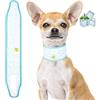 DQGHQME Collare rinfrescante DQGHQME per cani - bandana regolabile, ideale per l'estate