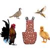 Uni Infinity Pannolini per polli anatre uccelli Diaperalls per galline, galli, anatre, anatroccoli, pannolino per uccelli - Riutilizzabili, regolabili di Uni Infinity (Rosa floreale, Pollo piccolo, 1, Pezzi)