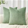 Topfinel Federe Cuscini 45x45 in Velluto a Coste per Divano Salvia Japonica Verde Copricuscini Quadrati Elegante Decorativa per Salotto Moderno Cuscino Cerniera Invisibile per Camera da Letto 2 Pezzi