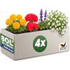 Casaria® 4x Fioriera da Esterno Ethica in Plastica 80L 80x36x35cm Base Drenante Fioriere da Giardino Vaso Grade per Fiori Vasi per Piante Rettangolari