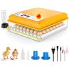 WIWOLER Incubatrice per Uova Automatica per 16-120 Uova, Incubatore con Rotazione Automatica e Aggiunta d'Acqua, 12V/220V Dual con Display LED, Controllo Temperatura e Sperauova per Gallina, Quaglia