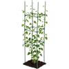 Wotrilw Supporto per Pomodori, Gabbia per Pomodori Regolabile 120 cm, Ausili Robusti per la Crescita, Supporto in Metallo per Piante Rampicanti, per Cetrioli, Rose, Verdure, Fiori, Orto