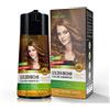 Herbishh Ultimate Hair Color Shampoo Kit (3pcs Hair Color Shampoo Dye +1 Argan Hair Mask) Smooth and Long Lasting Color Shampoo (Golden Brown)