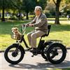Generic Triciclo elettrico pieghevole a 3 ruote Fat Tire da 20 pollici per adulti, batteria da 48 V 13 Ah, 7 velocità, con cestino, ideale per anziani, pendolarismo, shopping, spiaggia e neve.