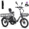 Generic Triciclo elettrico per adulti a 3 ruote, pieghevole, con freni a disco idraulici, sospensioni a doppio ammortizzatore e batteria al litio a lunga durata.
