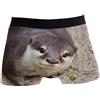 Lawenp Cute Mouse Boxer da Uomo Intimo Boxer Elasticizzati Traspiranti con Piccole Tasche Regali S-XXL