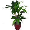 Leaf Design UK - Pianta artificiale di Dracaena con vaso nero, variegata, 75 cm
