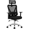 Hoolamyie Sedia Ufficio Ergonomica, Sedia da Scrivania con Poggiatesta 2D e Supporto Lombare 4D, Poltrona Ufficio Reclinabile 90°-135°, Braccioli Regolabili, Portata 150 kg, Nero