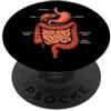Digestive System Anatomy Gastroenterolog Anatomia dell'apparato digerente Gastroenterologia Medico PopSockets PopGrip Adesivo
